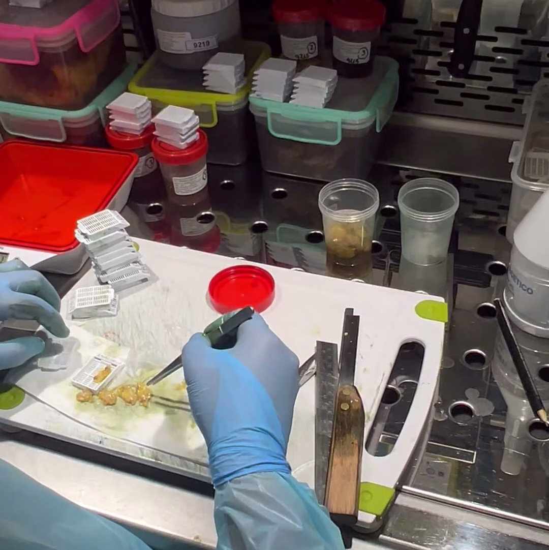 Procesos de laboratorio